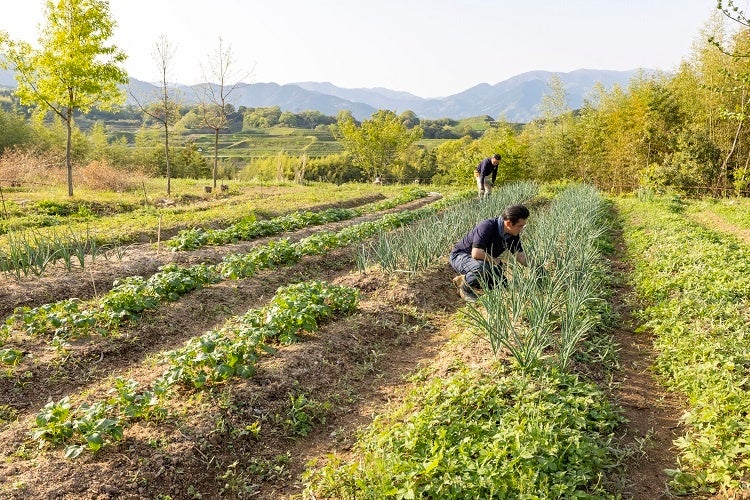 里山の畑での農作業