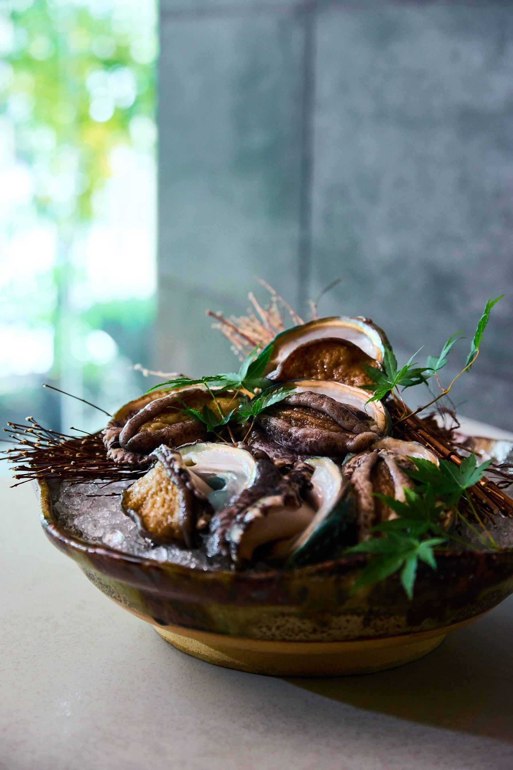 蝦夷鮑(エゾアワビ)