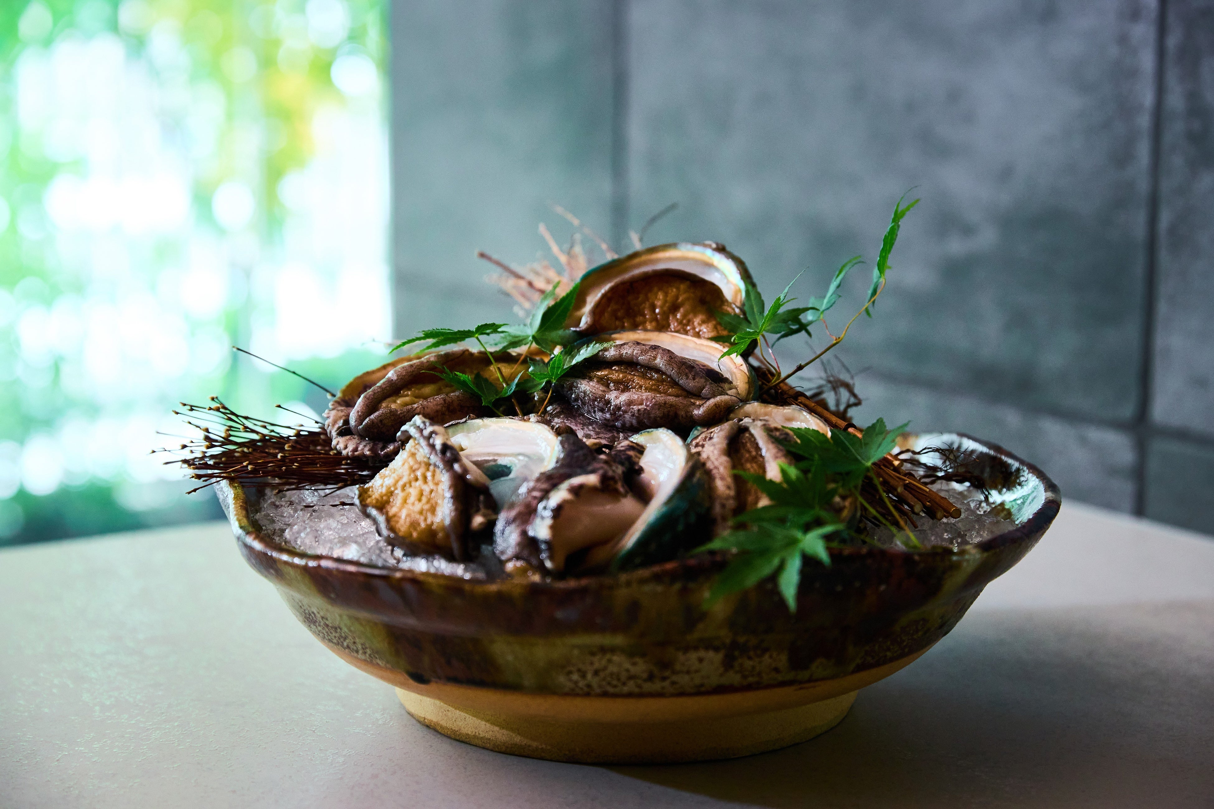 蝦夷鮑(エゾアワビ)