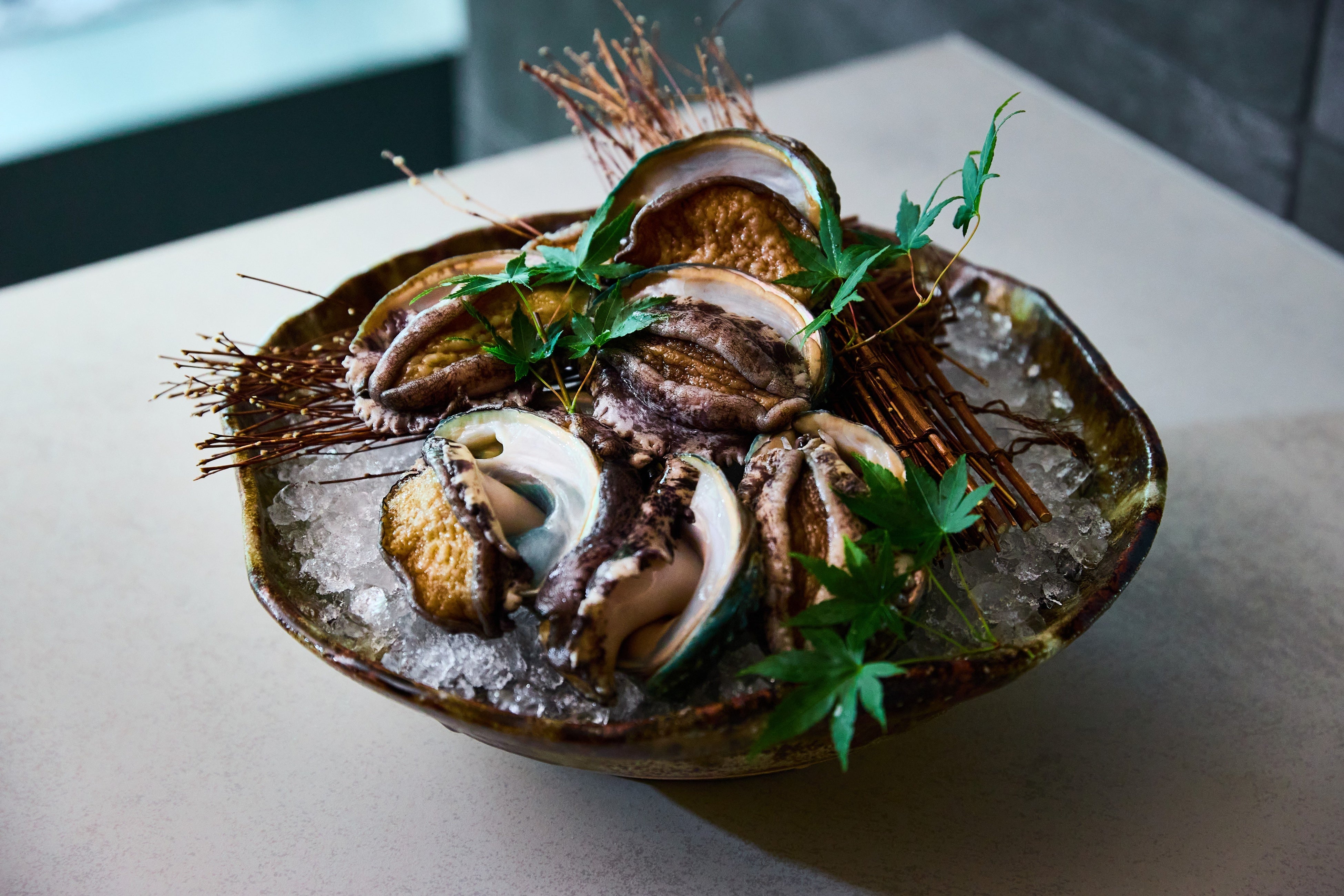 蝦夷鮑(エゾアワビ)