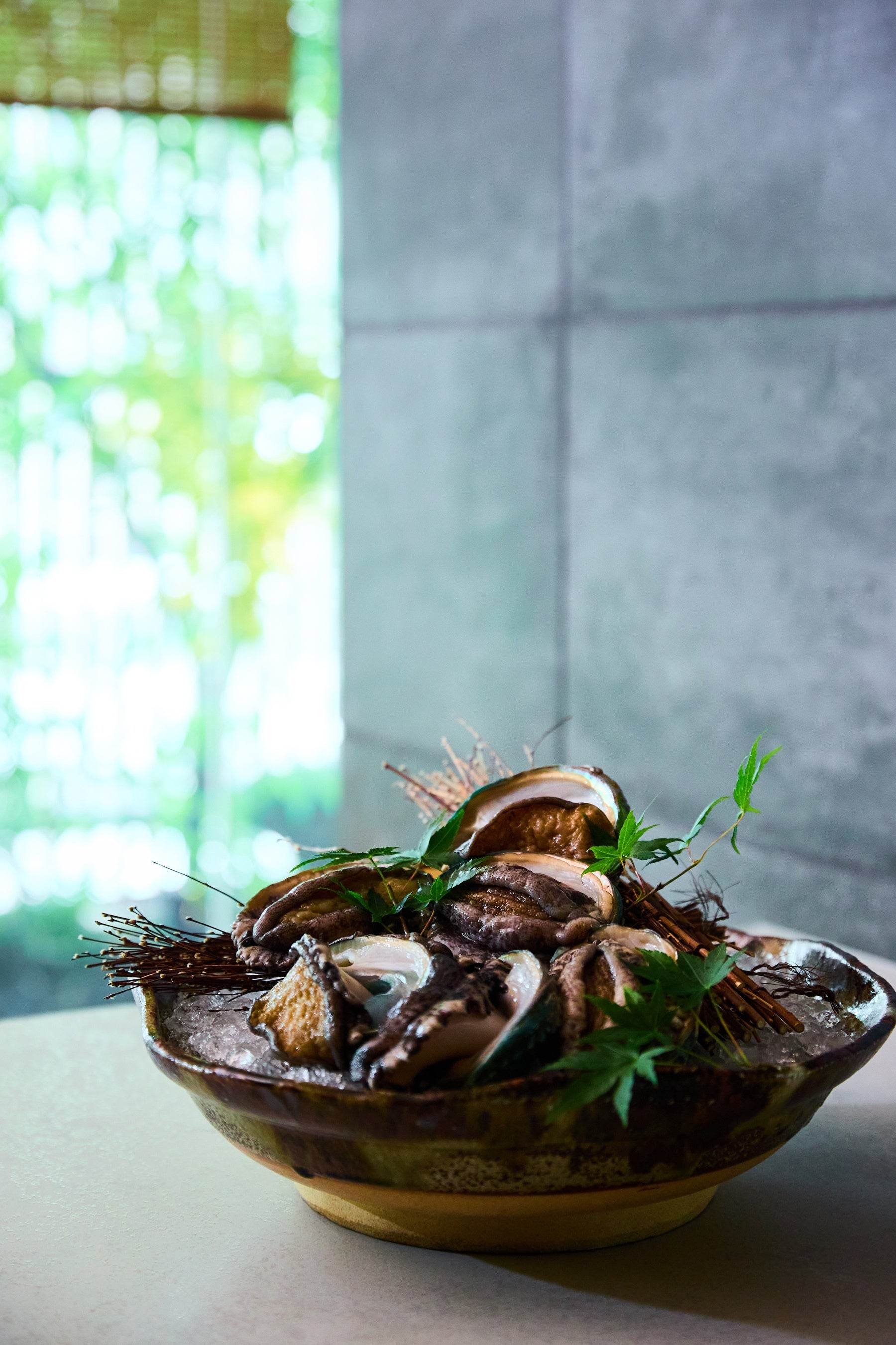 蝦夷鮑(エゾアワビ)