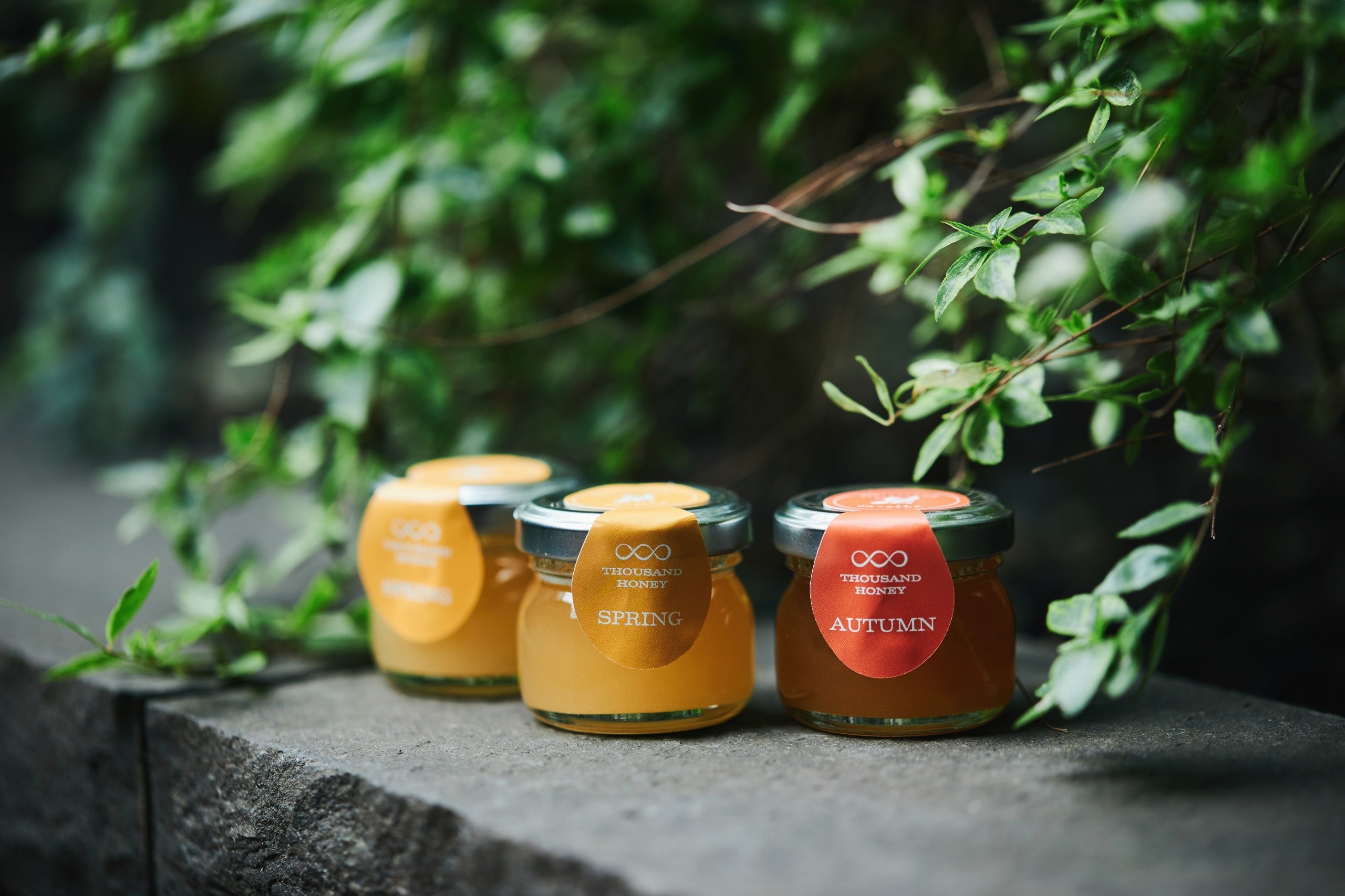 THOUSAND HONEY　春秋はちみつ食べ比べセット