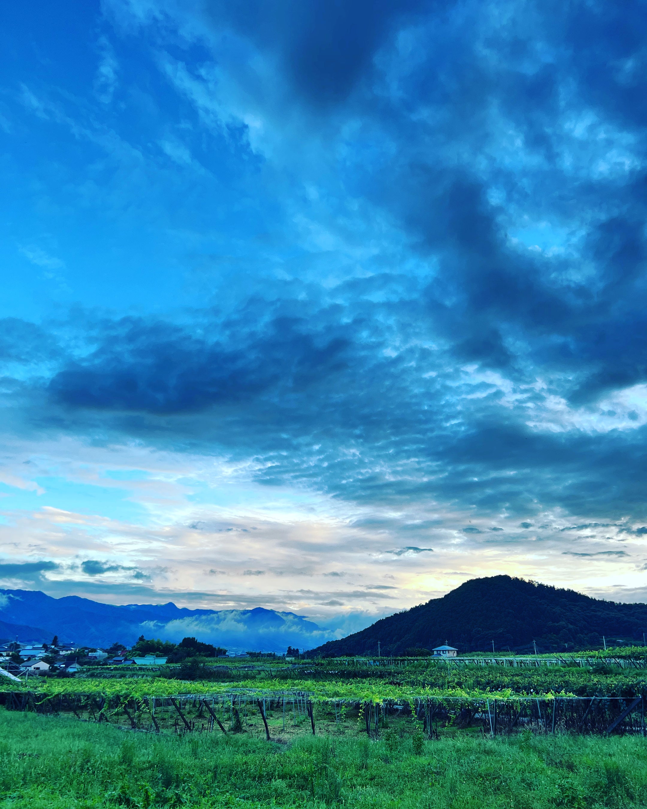 Kisvin Winery(キスヴィン・ワイナリー)