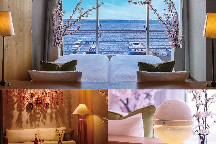 桜ルーム イメージ