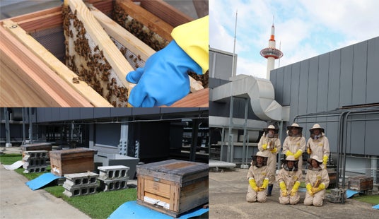 SDGsを学ぶ“都市養蜂見学ツアー”4月2日(木)開催 SDGsを学ぶ“都市養蜂見学ツアー”4月2日(木)開催
