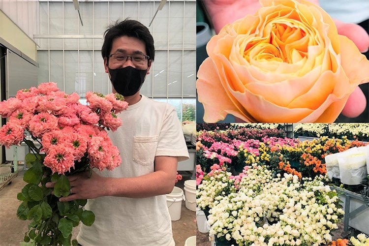 「クニエダ株式会社」のバラ