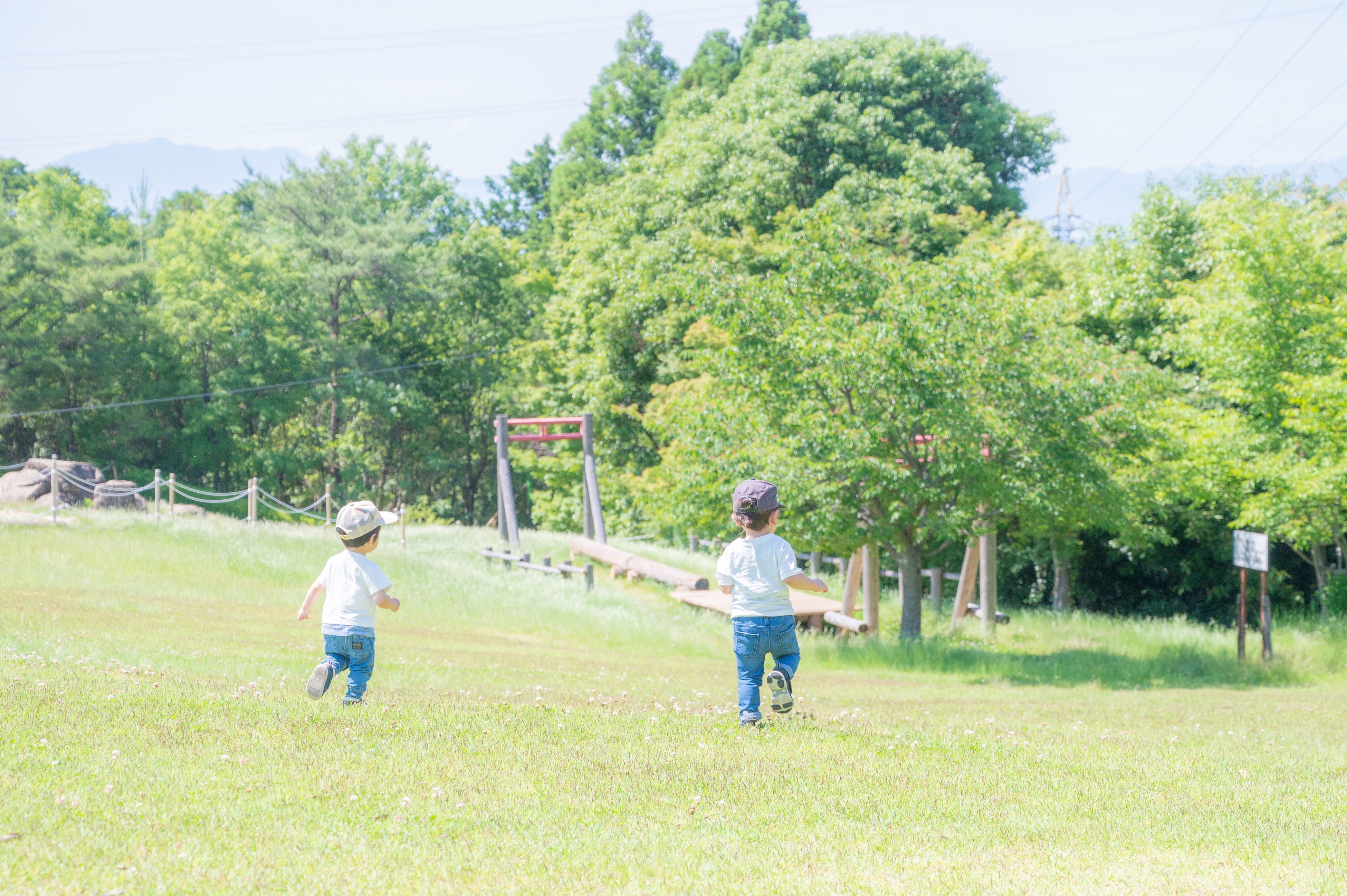 ”公園でいきもの探し”＝SDGs⁉