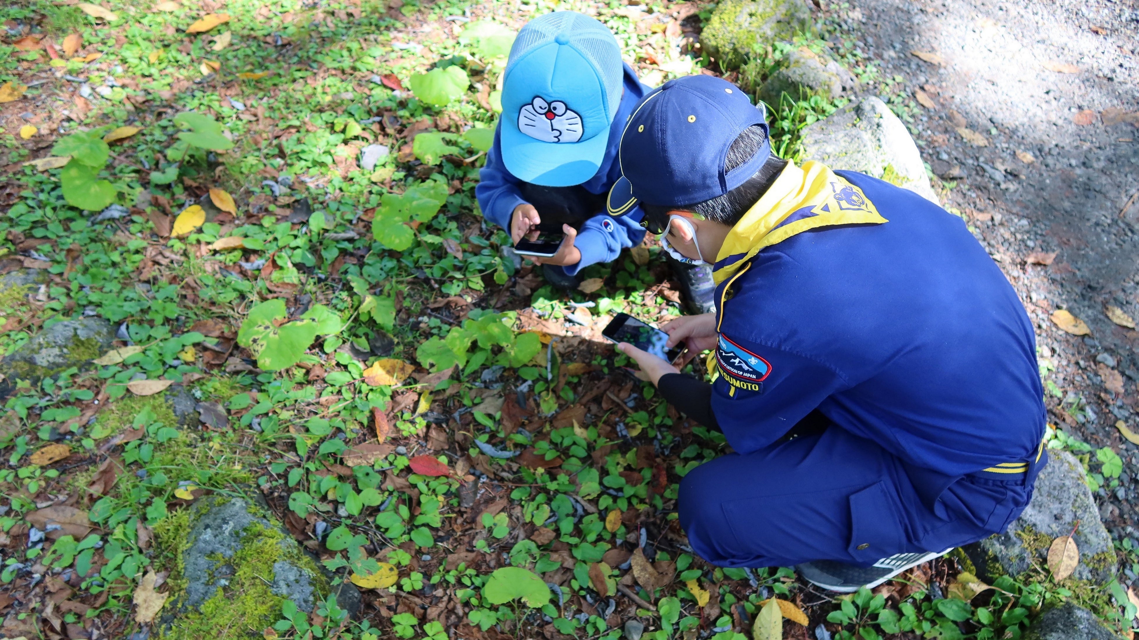 BIOME使用シーン