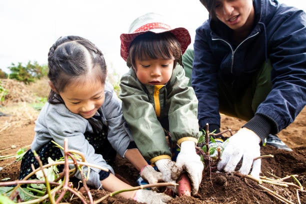 野菜収穫体験もできます！