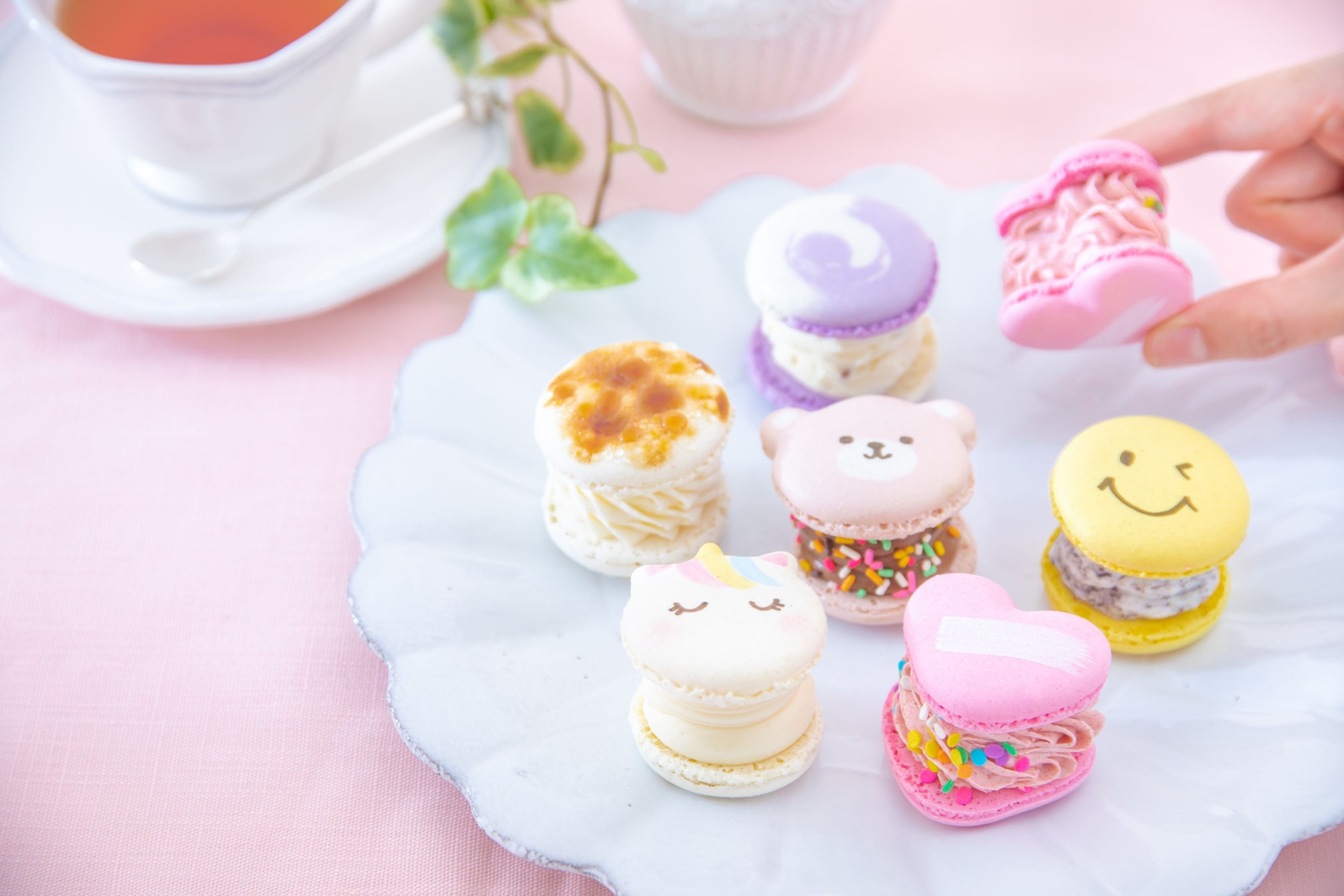 トゥンカロン スフレパンケーキで大人気のカフェ Licorne リコルヌ 長崎 県初出店 22年10月22日 土 オープン決定 日本サロネーゼ株式会社のプレスリリース