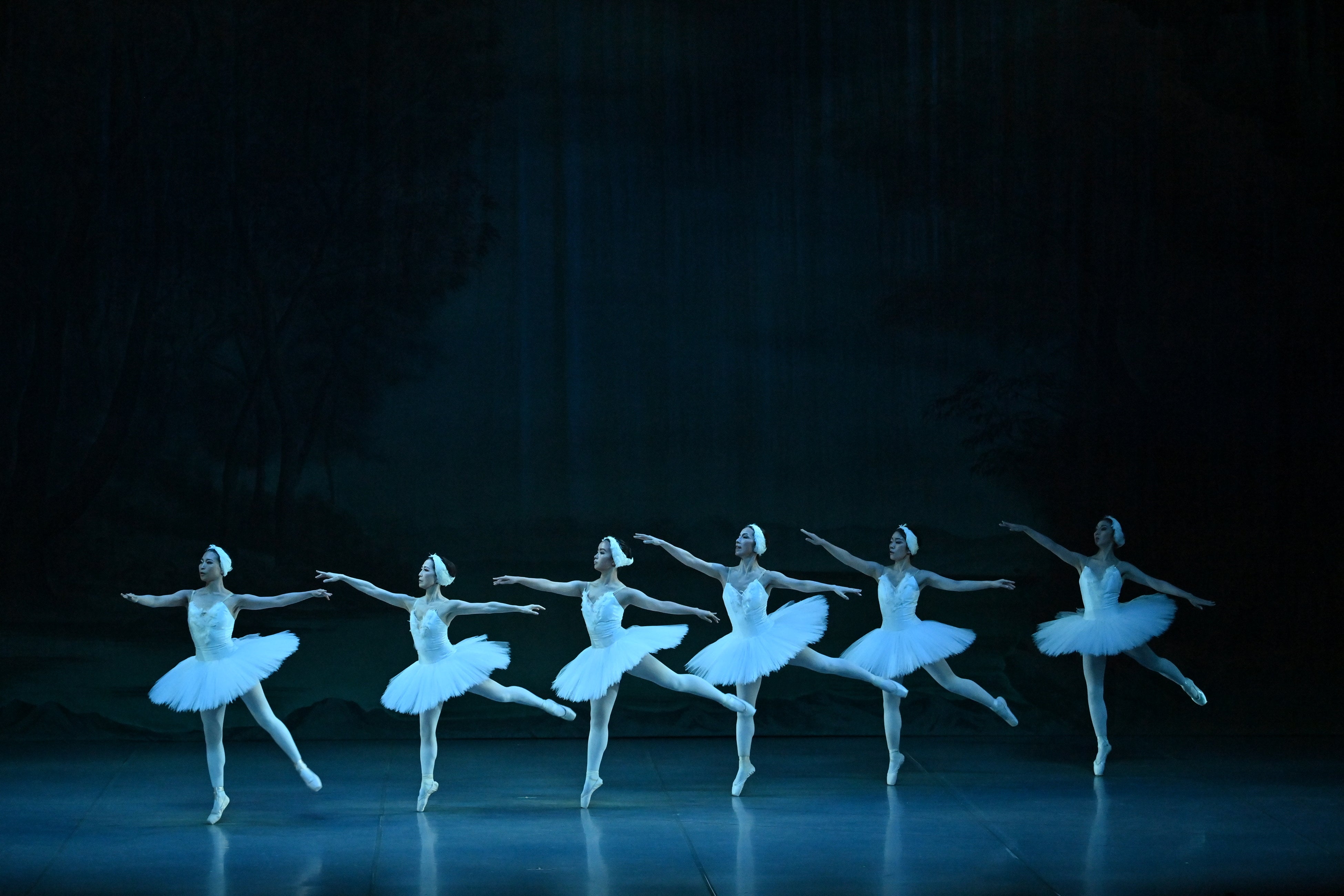 1月限定!バレエ教室のスタジオマーティでバレエを始めよう! 1月限定!バレエ教室のスタジオマーティでバレエを始めよう!