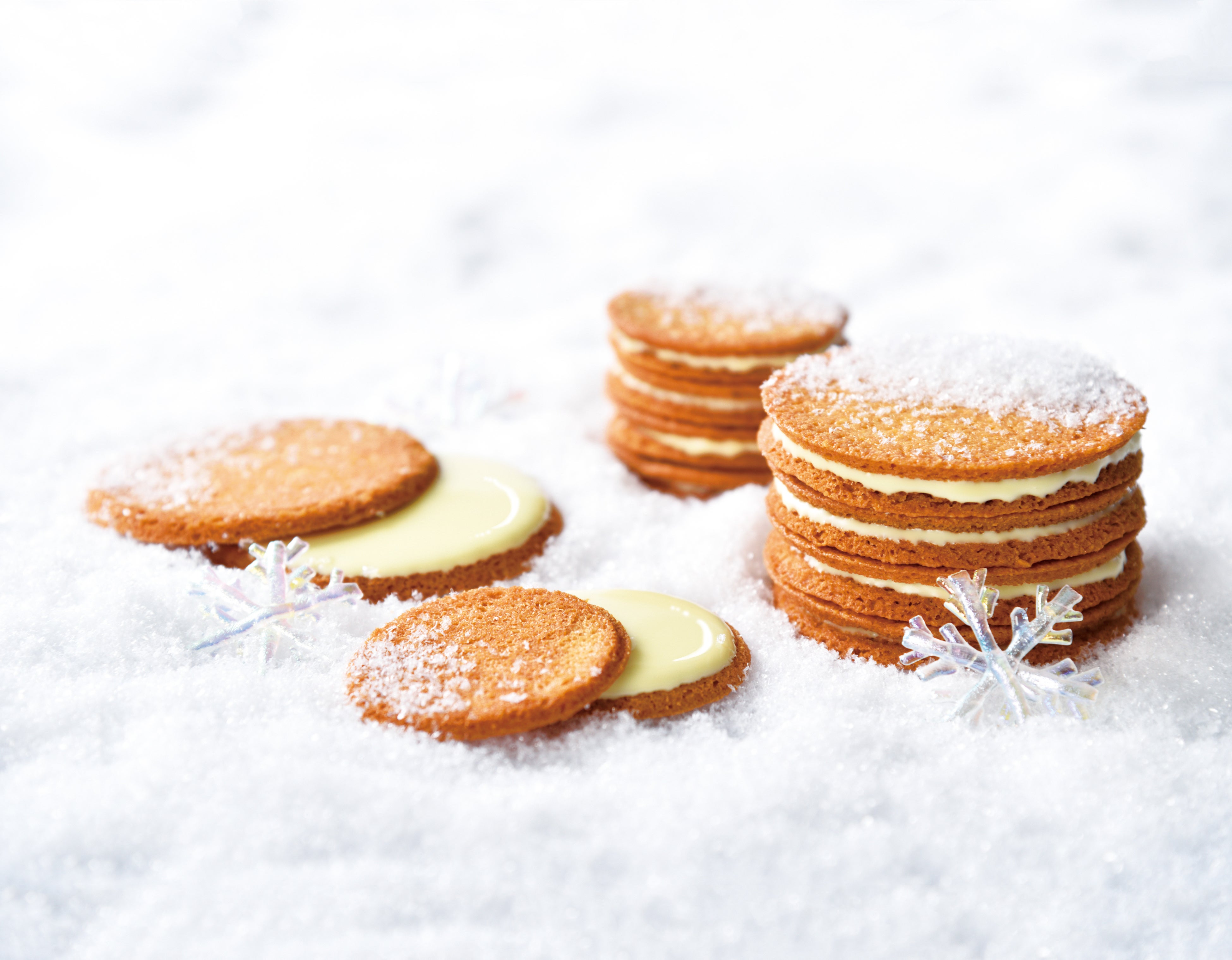 き花メインビジュアル