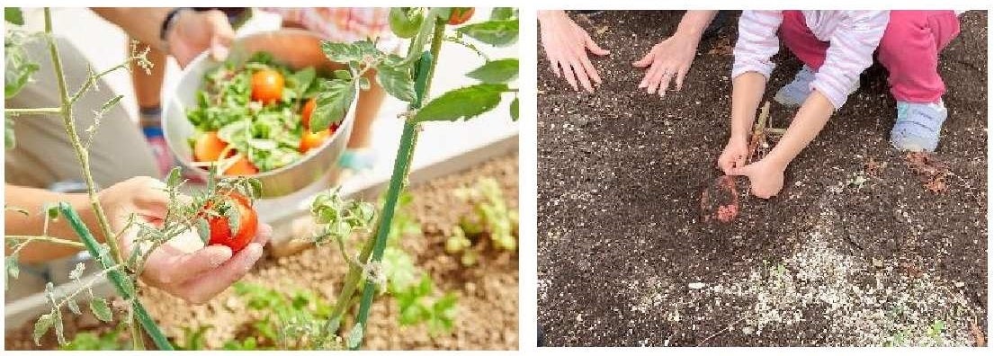 写真はイメージです。