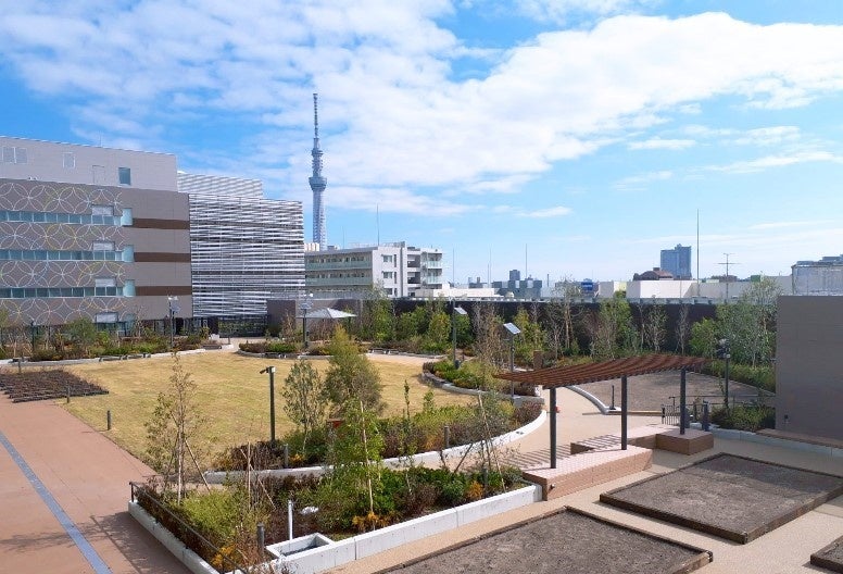 <外観写真>屋上庭園