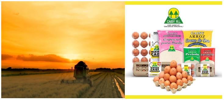 CAISYの風景とブランド商品