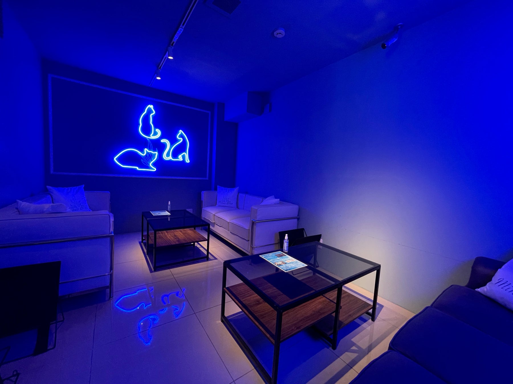 VIP ROOM