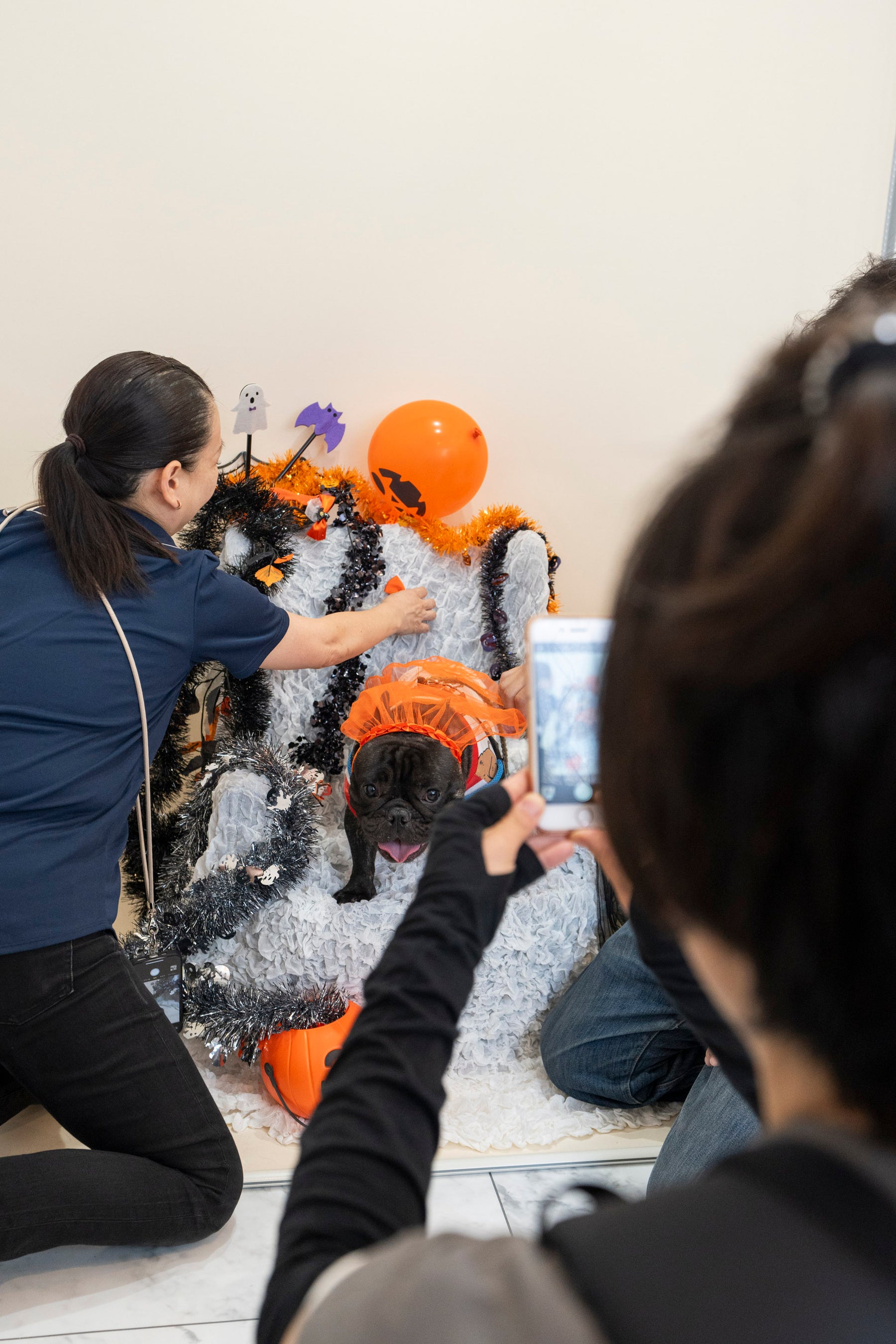 季節によって変わるフォトブース