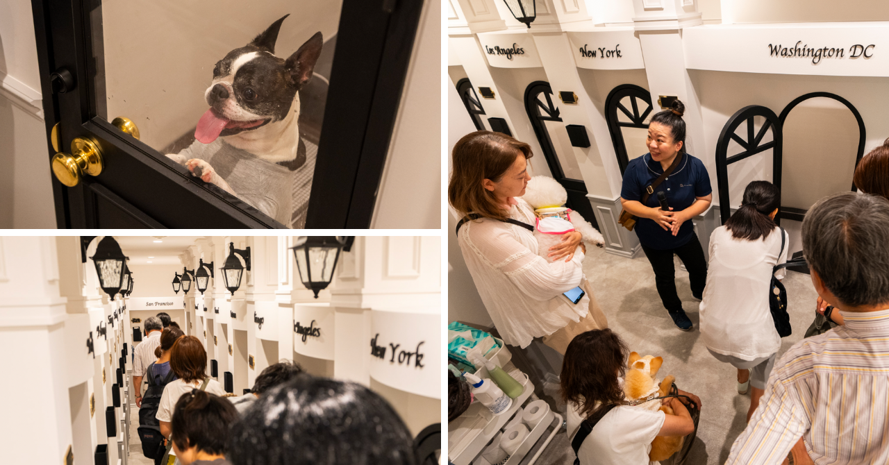 内覧会も大勢の方々にお越しいただきました