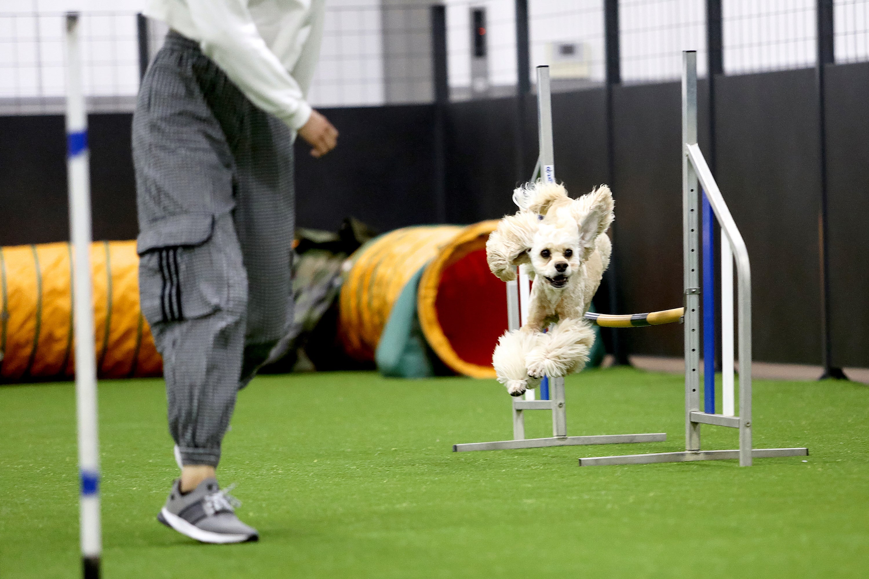 国内最大規模の屋内ドッグランで最高のコミュニケーションを