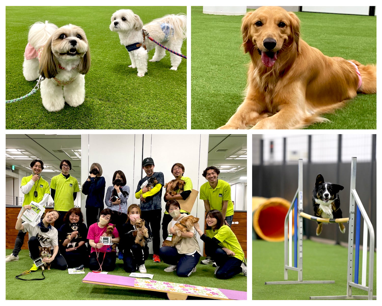 スタッフ一同、皆さんのお越しをお待ちしております!