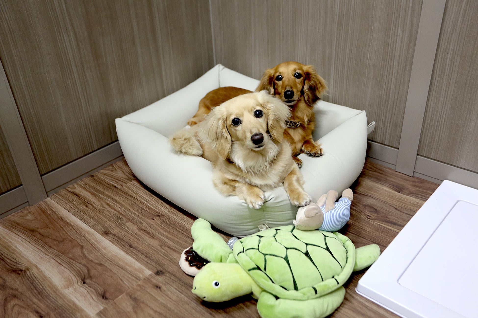 旅行や出張時に預けられる「ホテル」