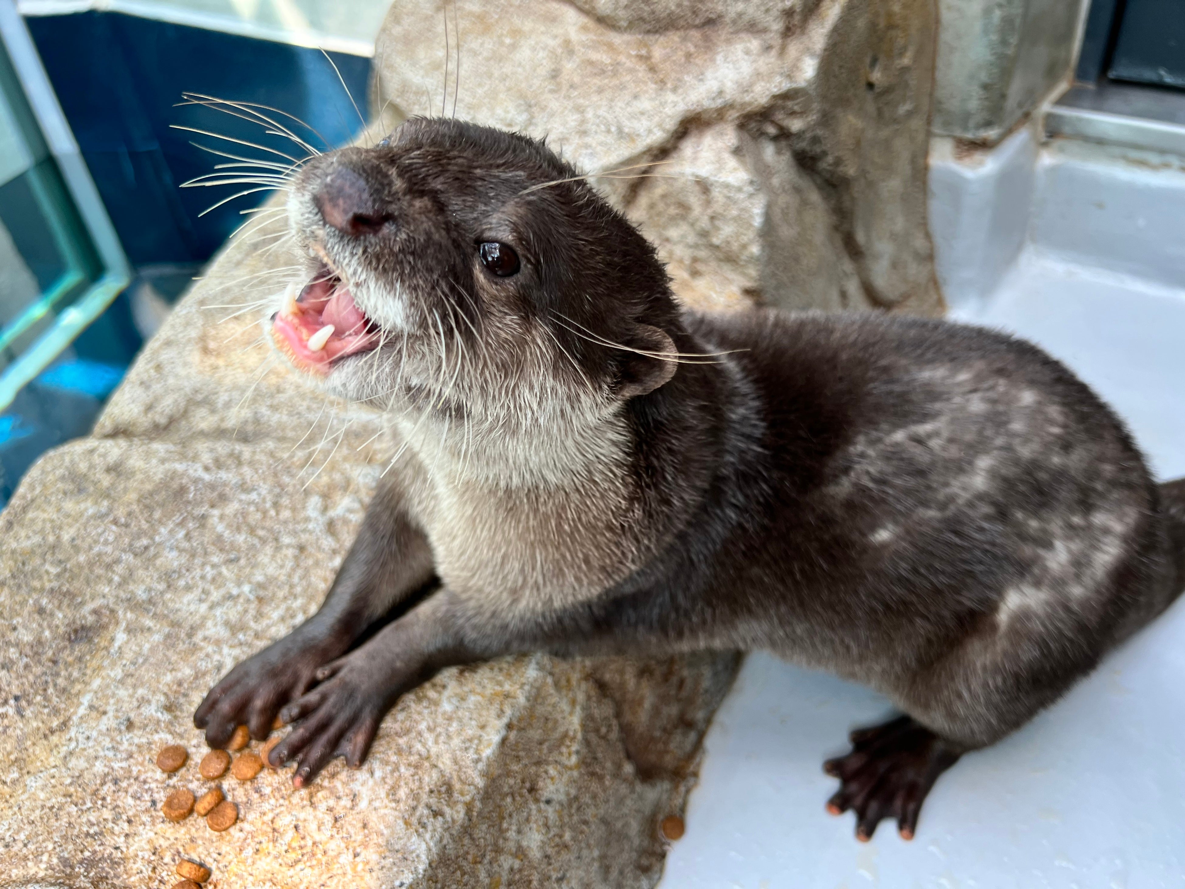 ご飯を食べる「お浜」