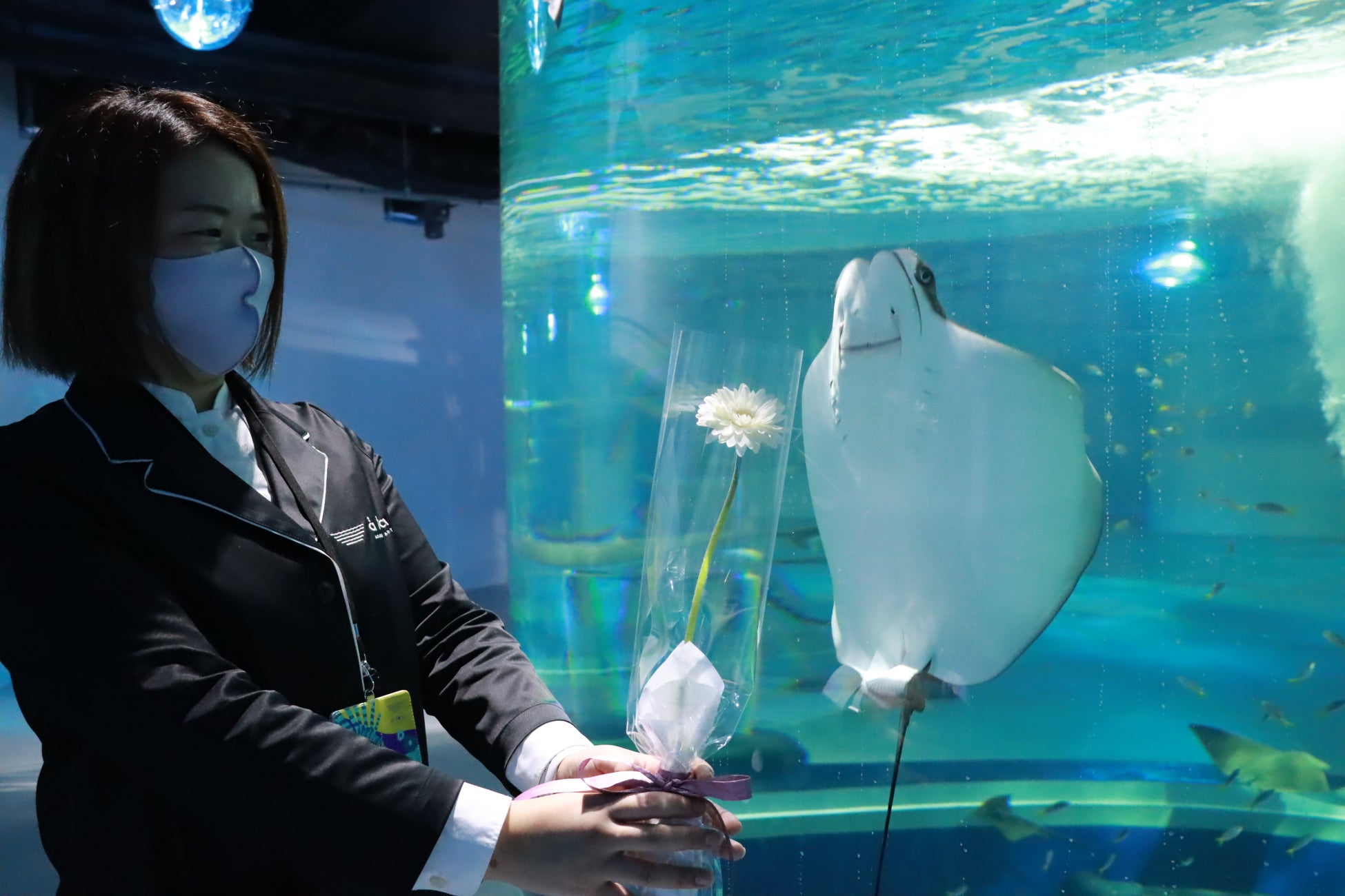 神戸の港の劇場型アクアリウム Atoa アトア 初めてのクリスマス企画 株式会社アクアメントのプレスリリース 神戸の港の劇場型アクアリウム Atoa アトア 初めてのクリスマス企画 株式会社アクアメントのプレスリリース