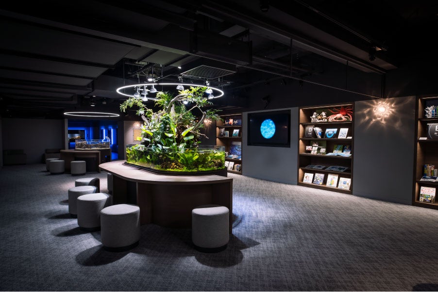 スマートアクアリウム静岡の館内の様子