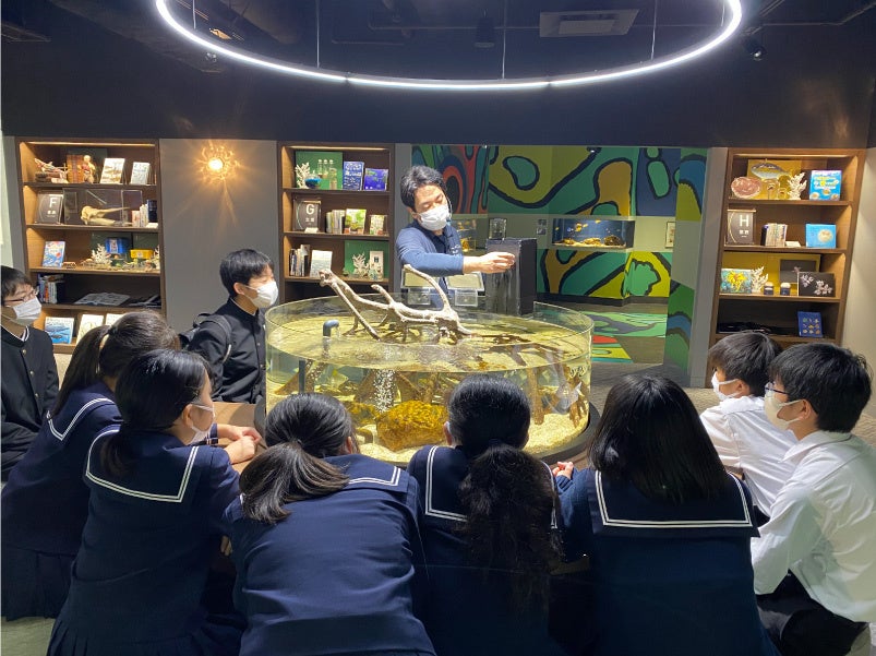 学生が「テッポウウオの餌やり」を鑑賞している様子