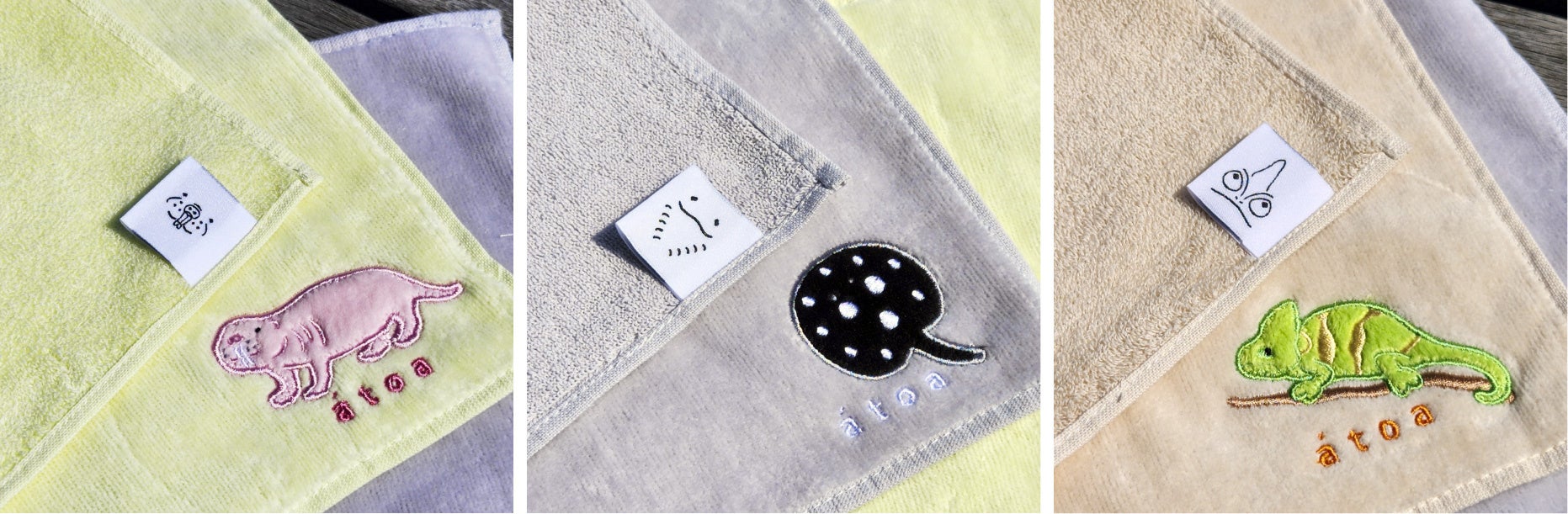 左）ハダカデバネズミ　中）ポルカドットスティングレイ　右）エボシカメレオン