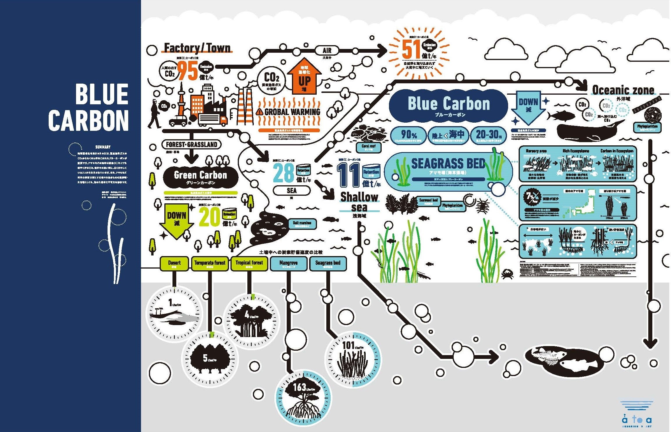 「BLUE CARBON」について理解を深めるデザインアート