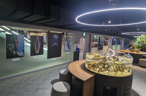 トークライブを開催するディスカバリー