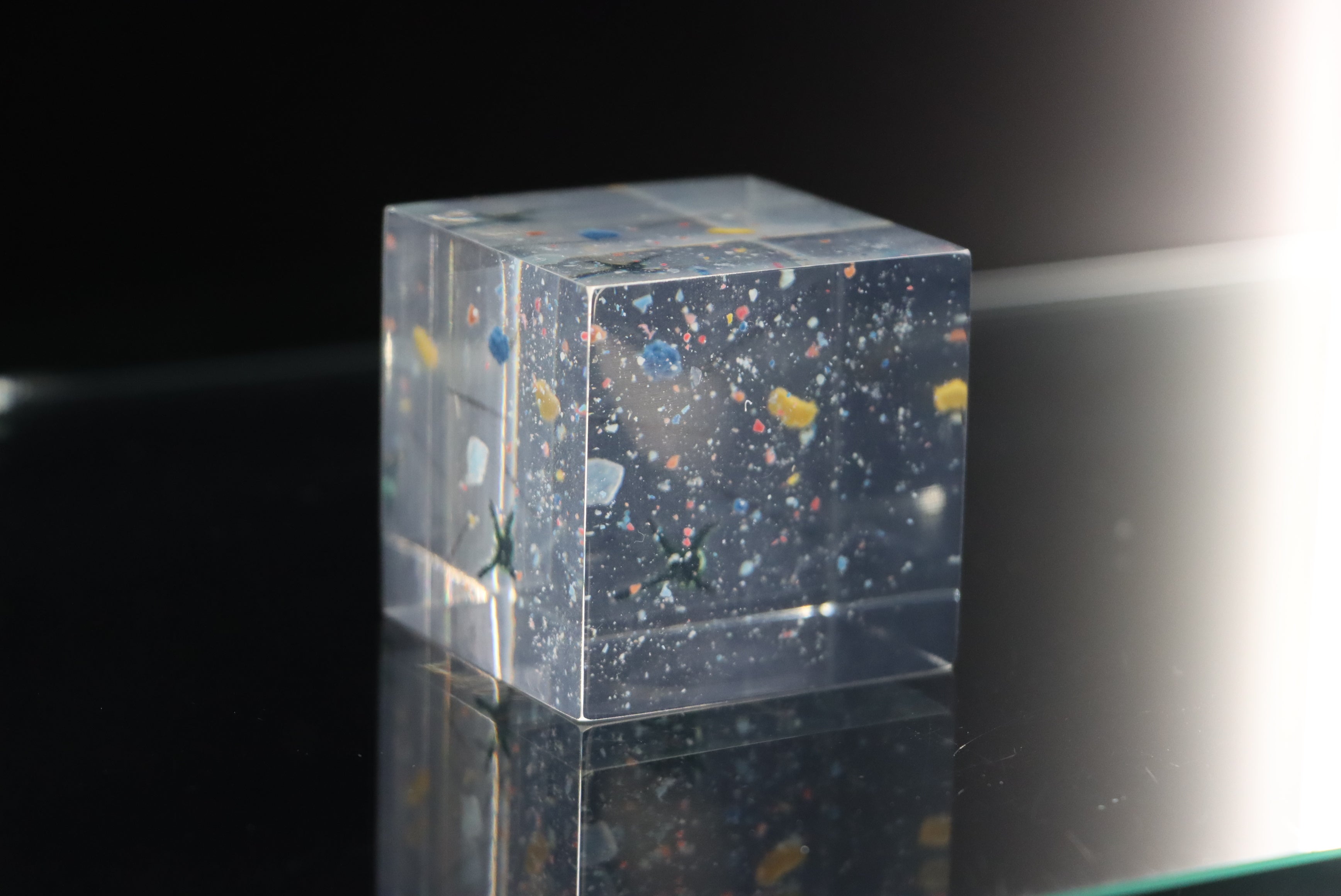 マイクロプラスチックのアクリル標本