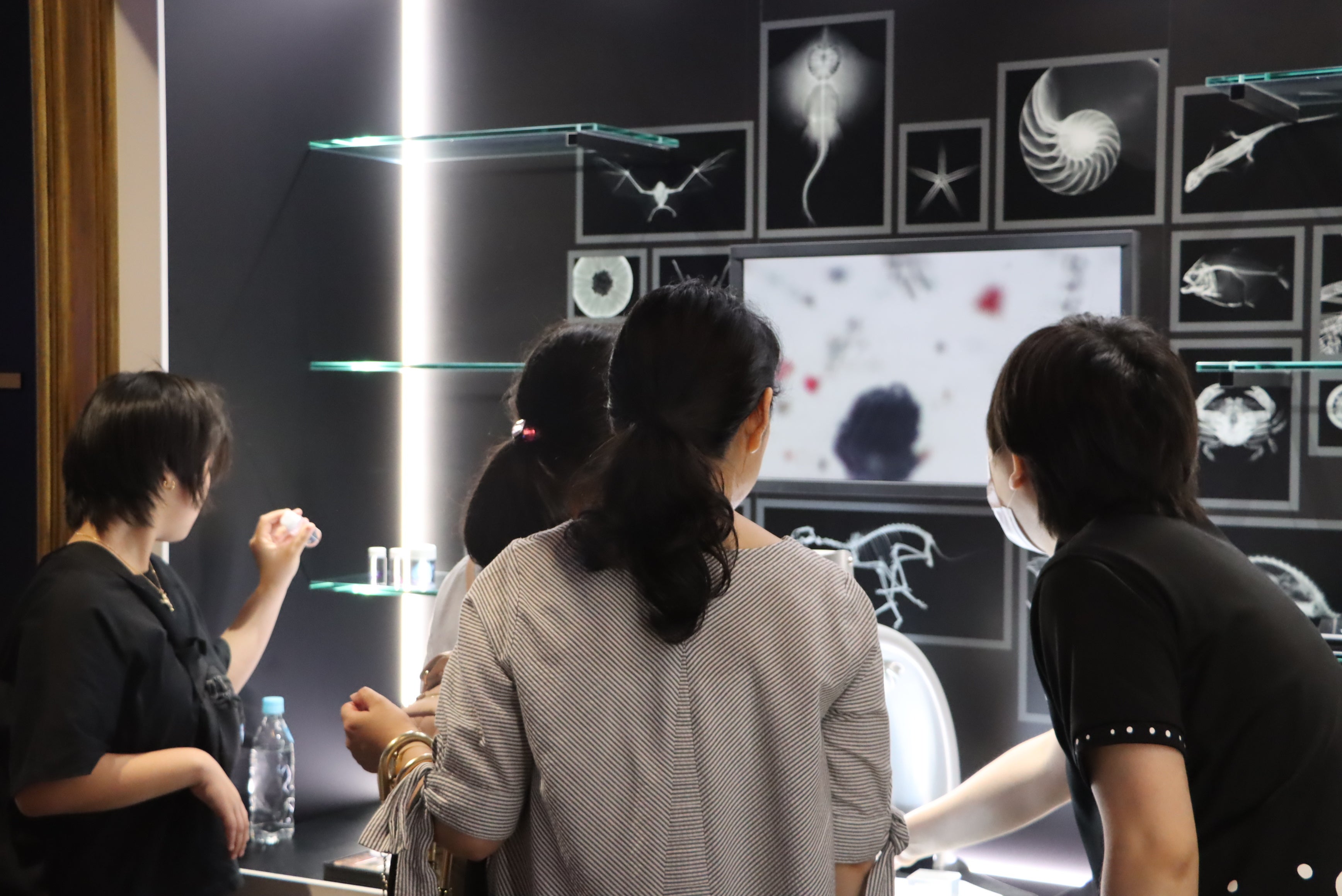 顕微鏡で観察する様子