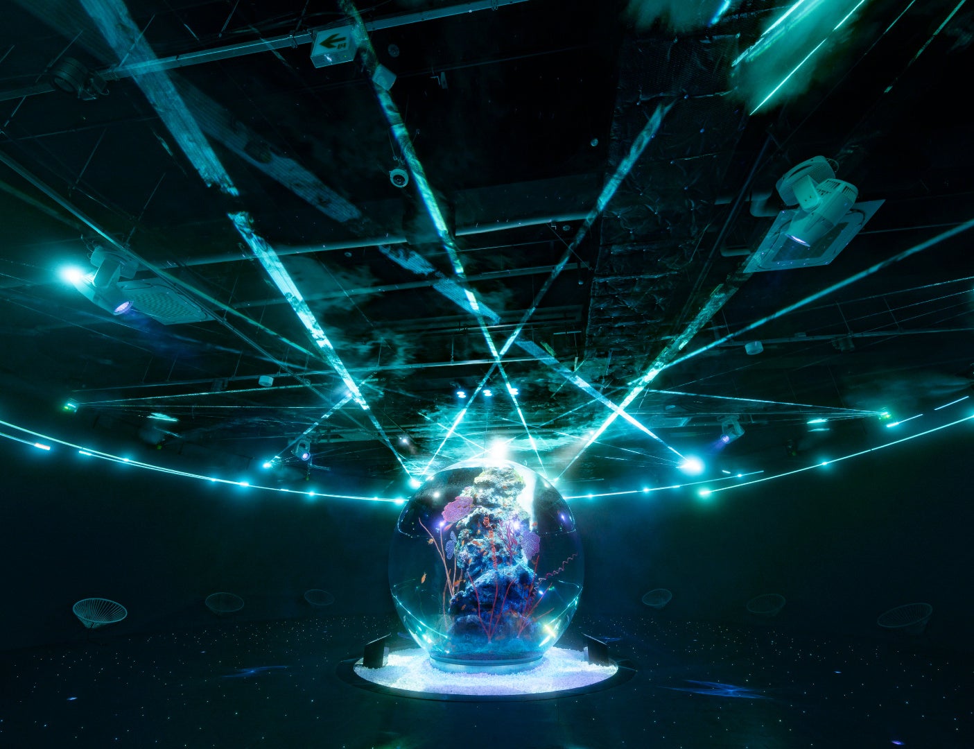 AQUARIUM×ART átoa