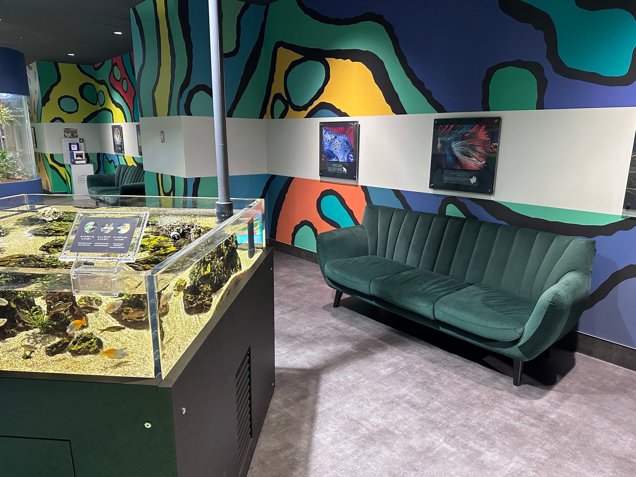 新たに設置したソファ（装う YOSOOU）