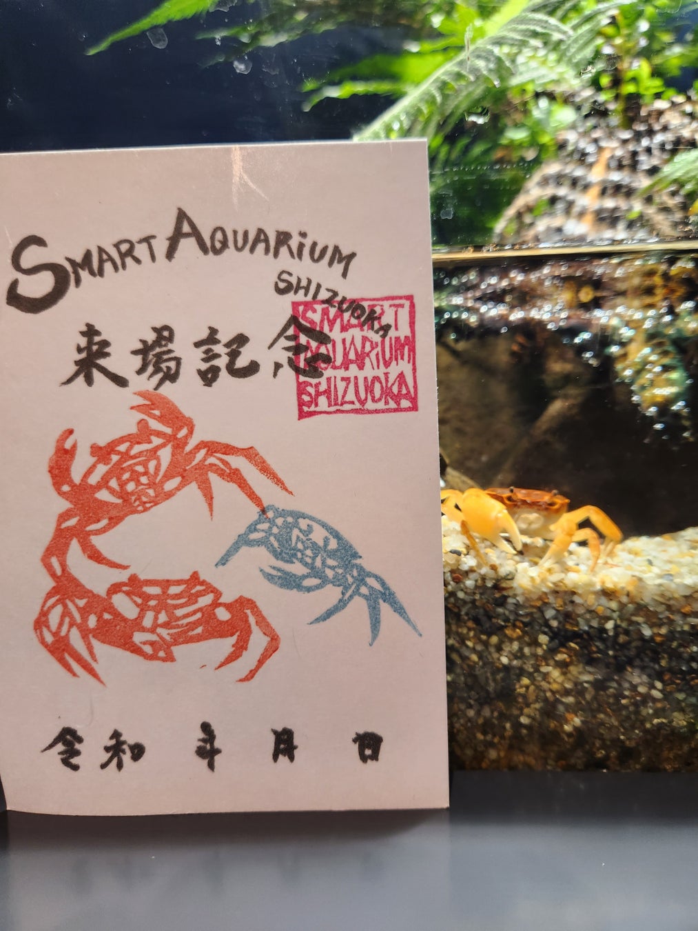 新デザインになった魚朱印(ぎょしゅいん)