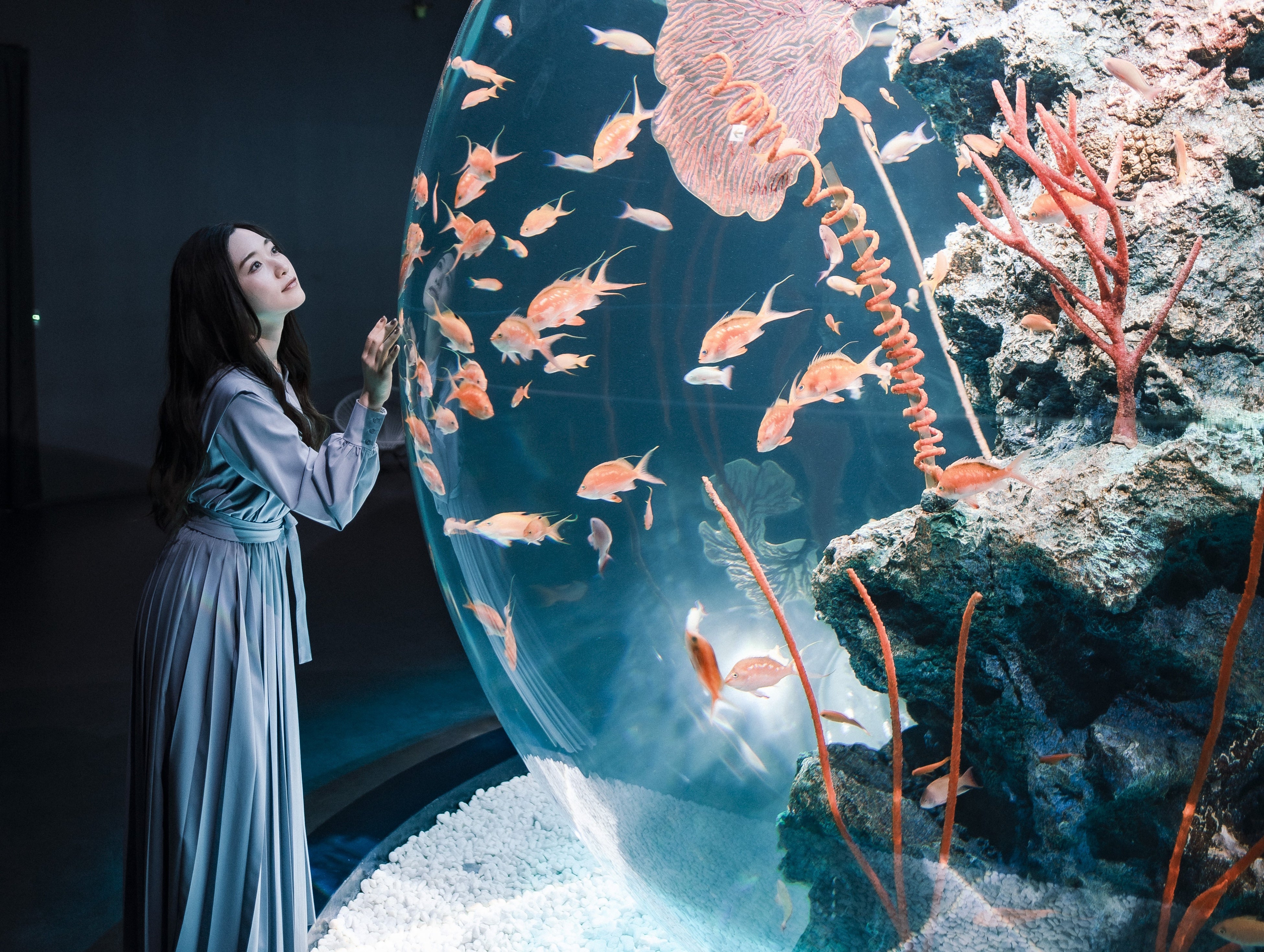 AQUARIUM×ARTátoa（アトア）