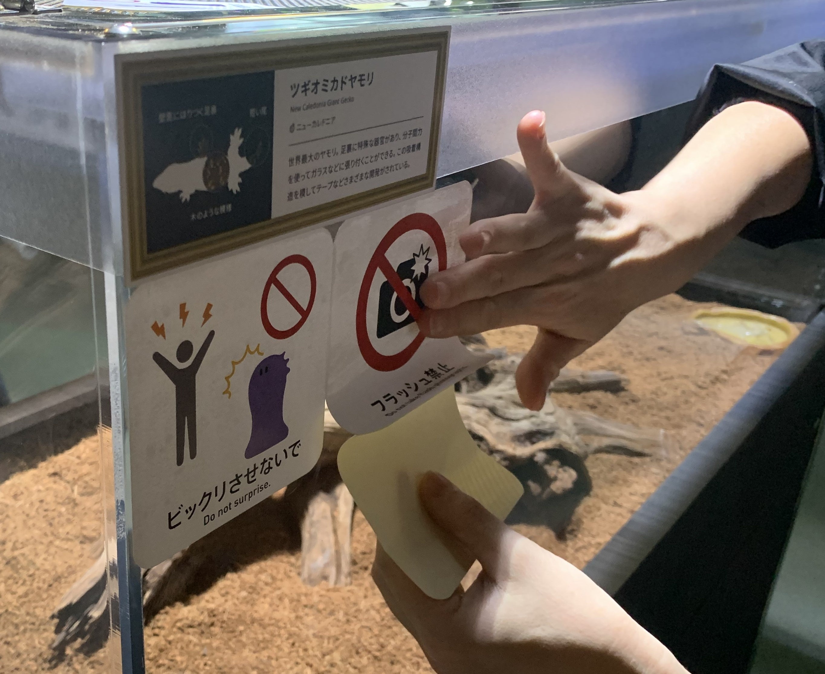 驚かせないよう優しく観察しよう！