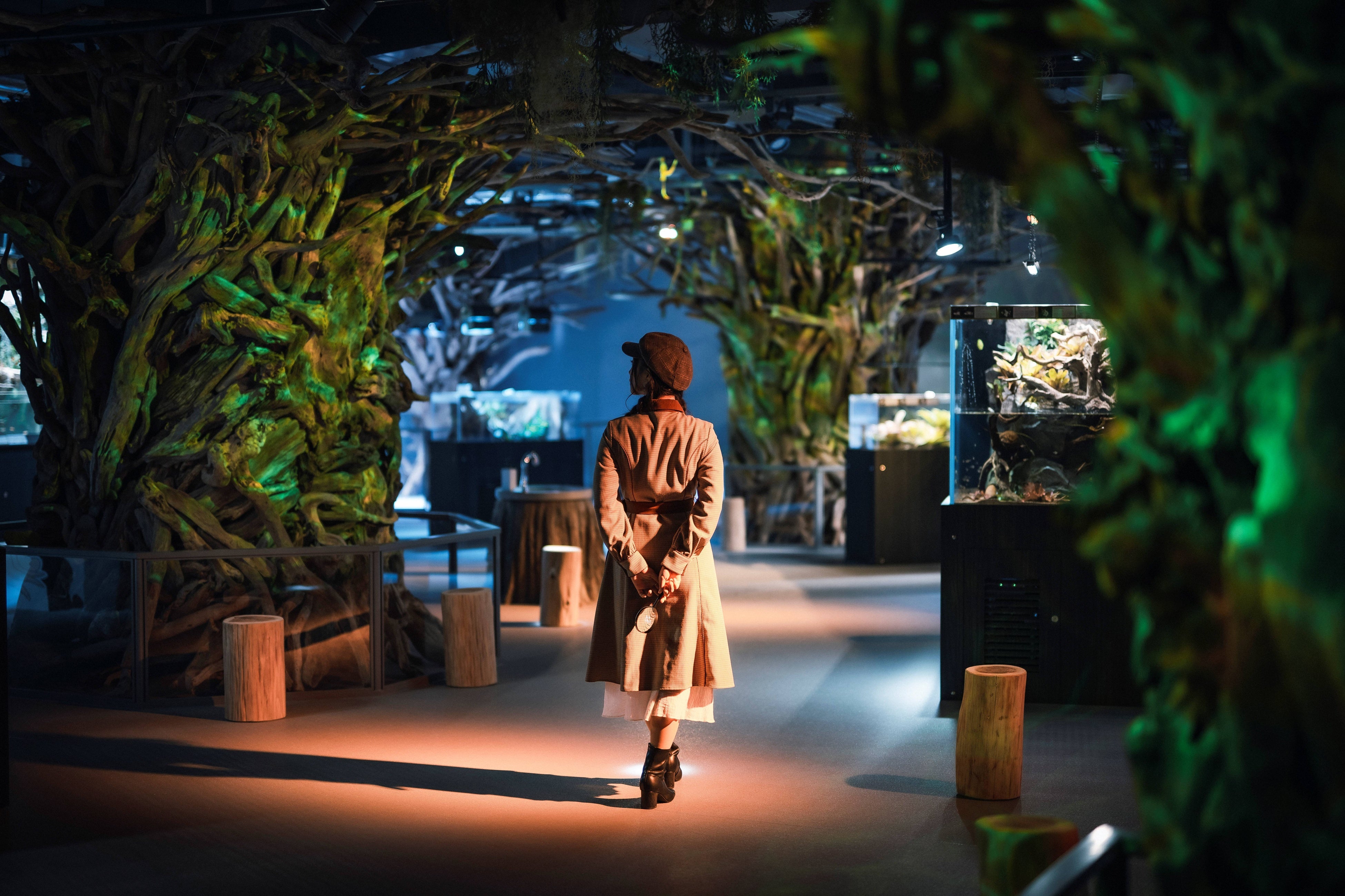 ELEMENTS 精霊の森