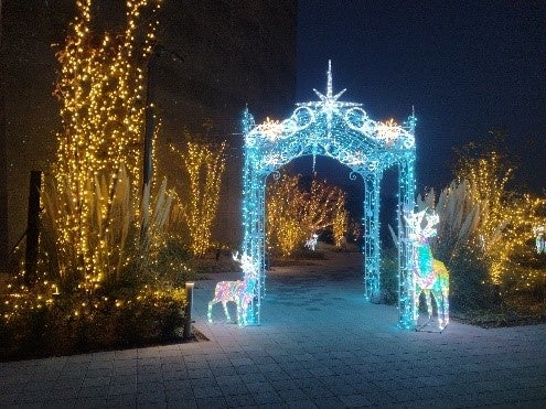 △イルミネーションの様子