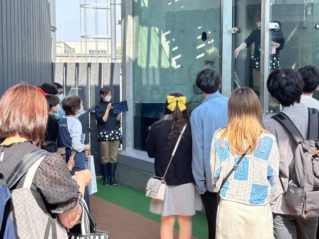 神戸の水族館、カワウソのフィーディングタイムがスタート!新情報も公開予定 神戸の水族館、カワウソのフィーディングタイムがスタート!新情報も公開予定