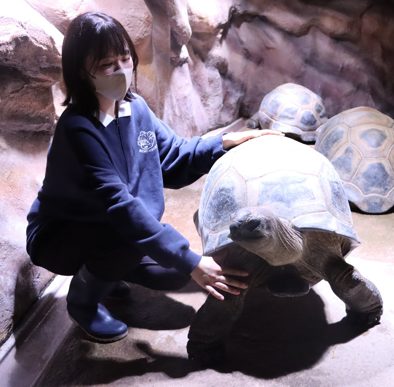 神戸のアトアで叶える七夕願い事募集!参加方法や詳細はこちら 神戸のアトアで叶える七夕願い事募集!参加方法や詳細はこちら