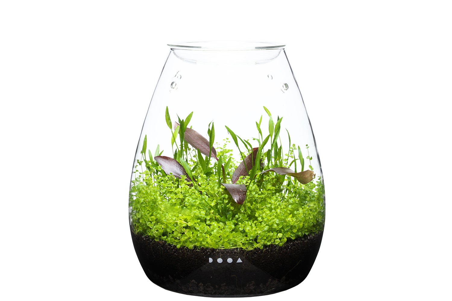 SMART AQUARiUM SHIZUOKA】ミュージアムショップCOCO AQUAでパルダ