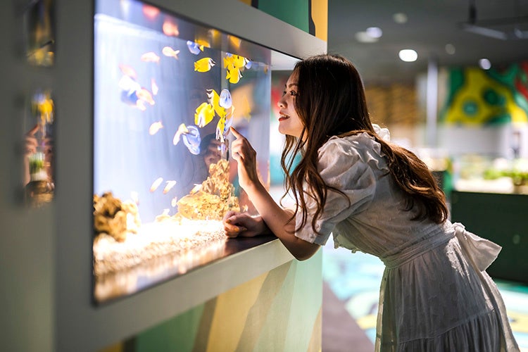 SMART AQUARiUM SHIZUOKA】静岡駅前に都市型水族館 “スマート