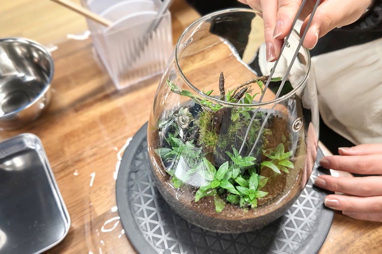 パルダリウムを学ぶワークショップも開催