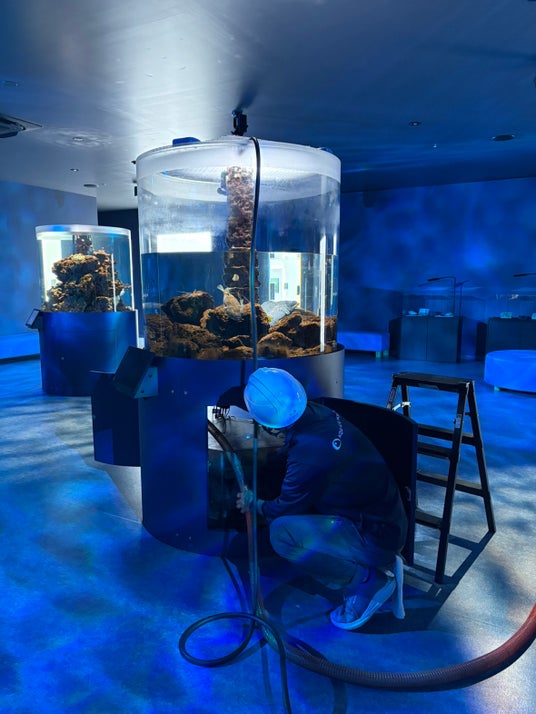 【広島もとまち水族館】大人の社会見学!?~閉館後「のぞき見ツアー」~開催! 【広島もとまち水族館】大人の社会見学!?~閉館後「のぞき見ツアー」~開催!