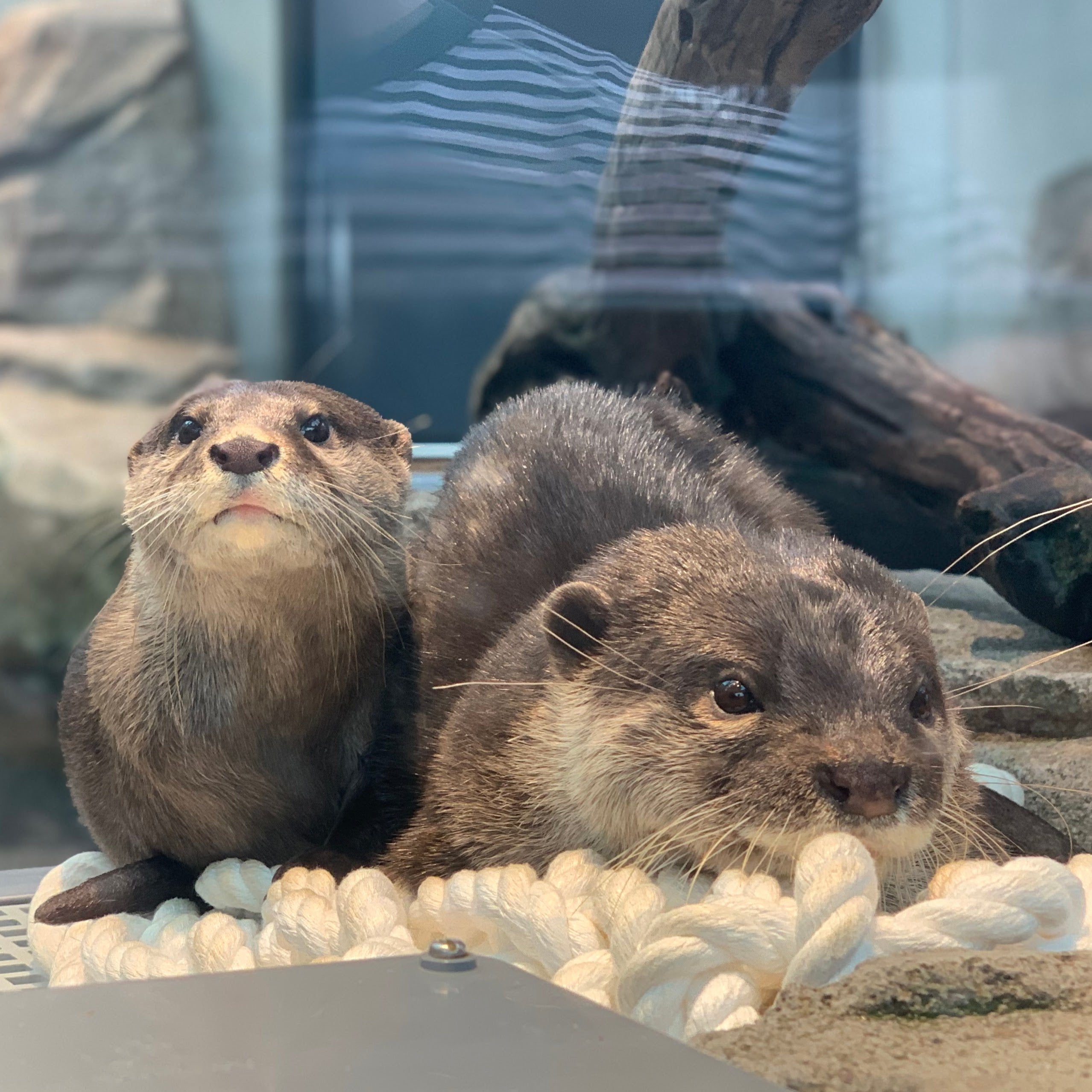 『臨戦態勢』　受賞者：Taku さん