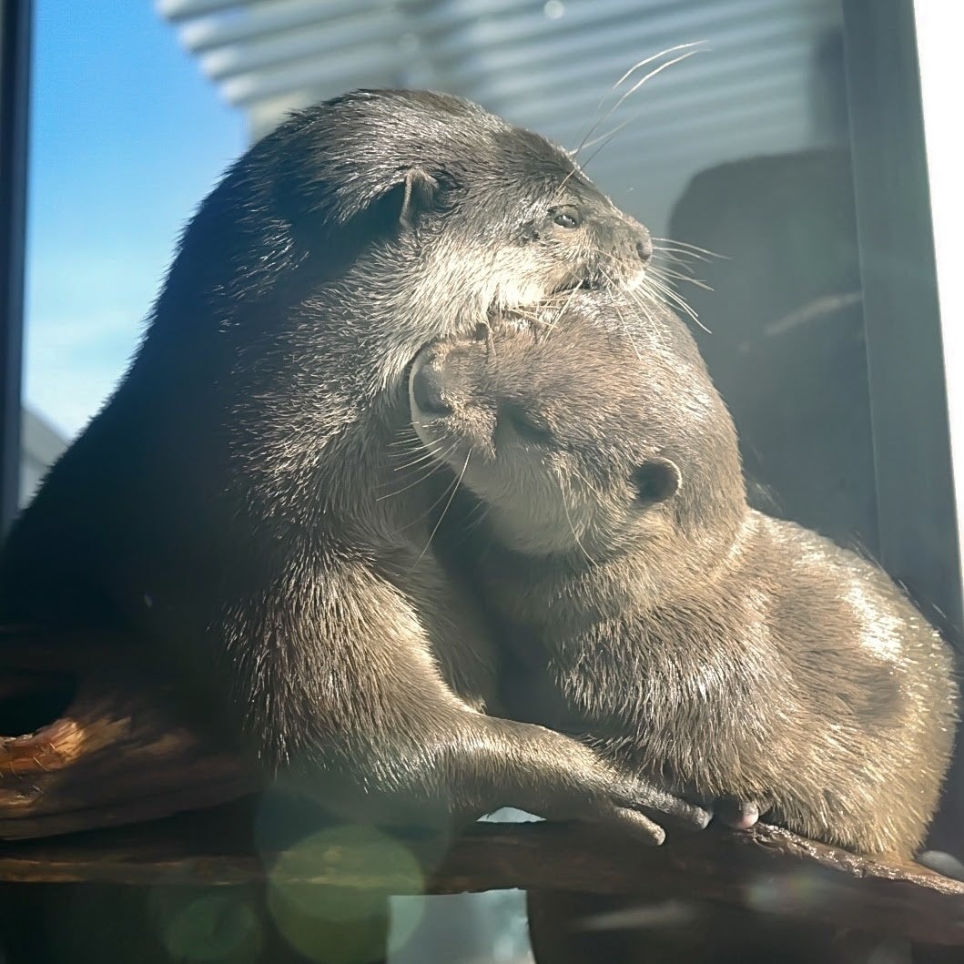 『ふたりの絆』　受賞者：JUNE さん