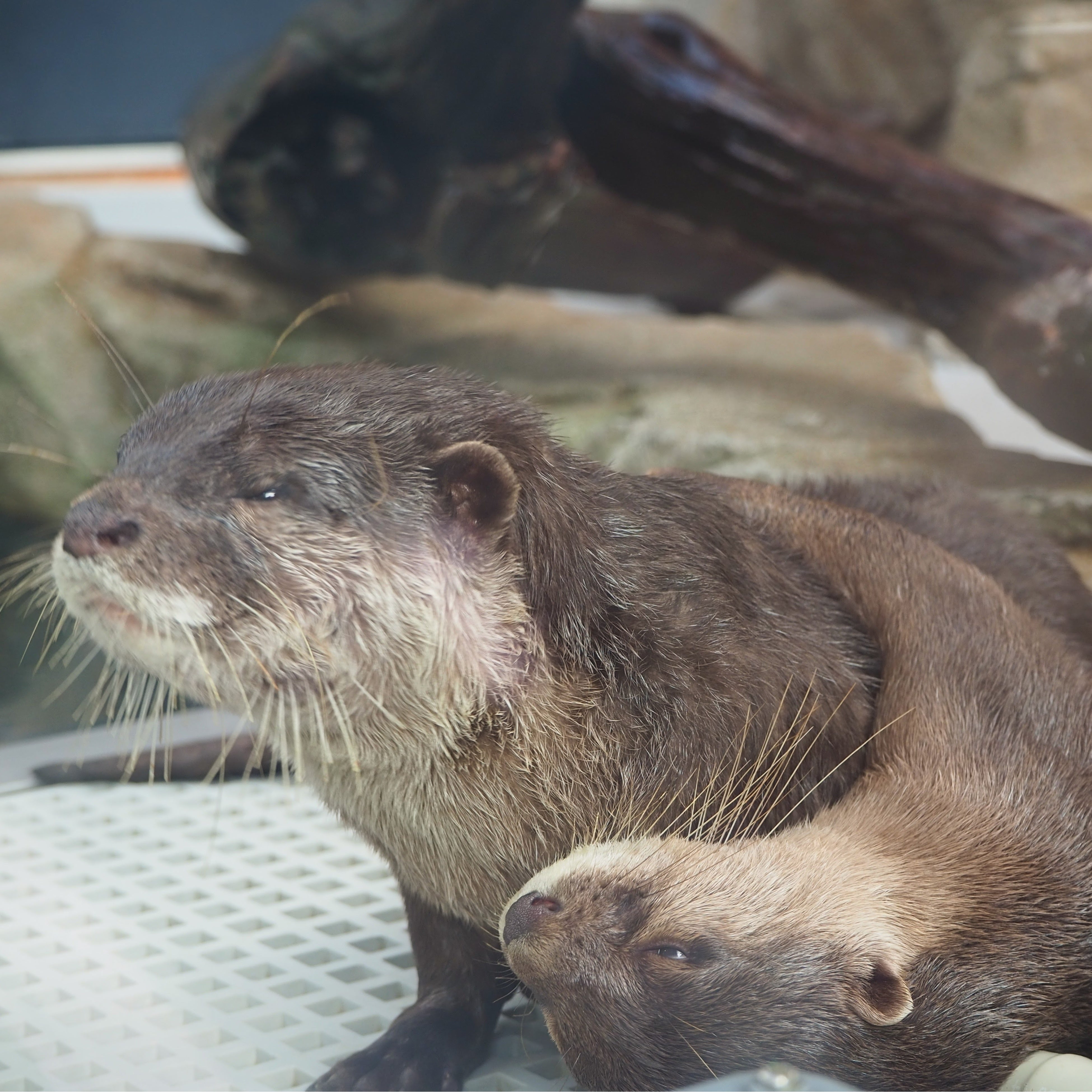 『ぎゅうっ♡』　受賞者：大久保